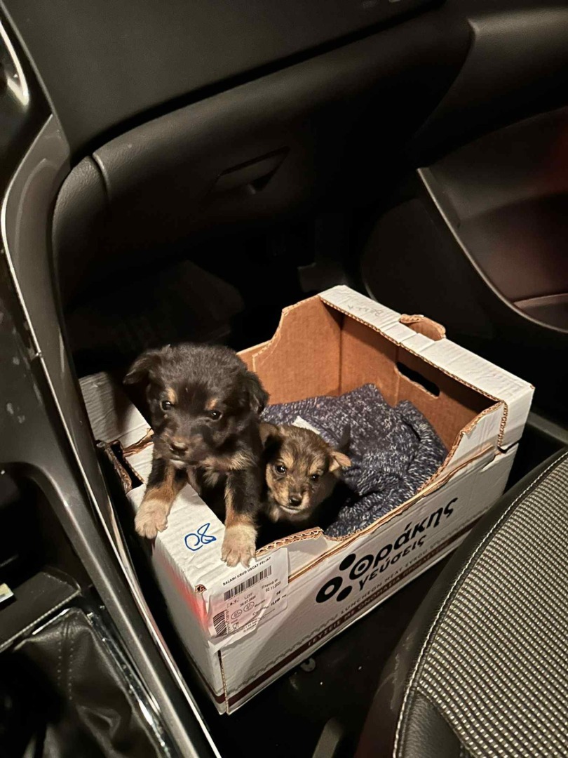 540983234_1106778608223030_726890160115821777_n