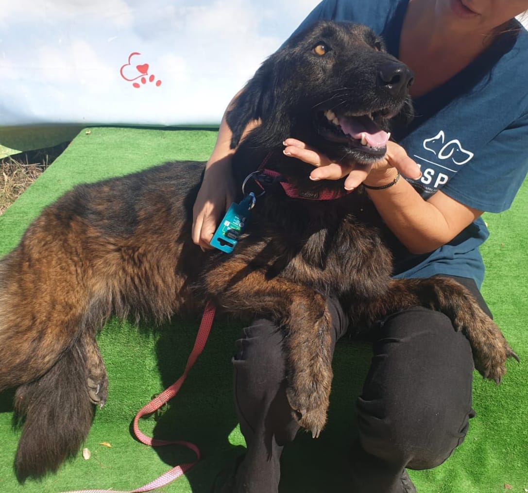 540986565_1118144947137308_1836103639825635273_n