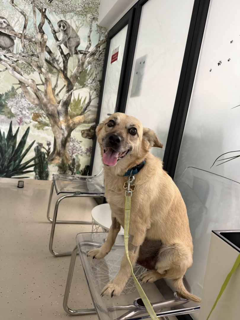 541014092_1187200930099279_5162328634005030961_n