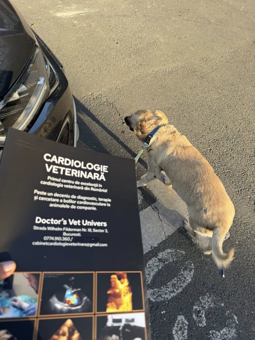 541042829_1187201133432592_5001669122819287009_n