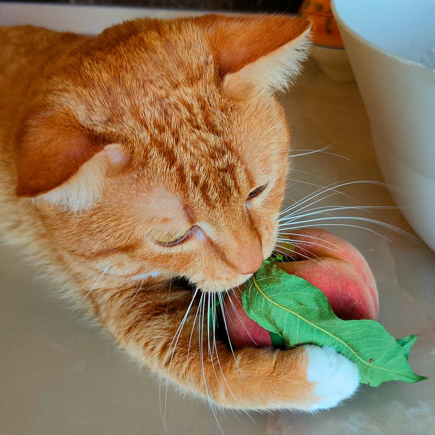 541075857_1844607462935691_3600313659168717930_n