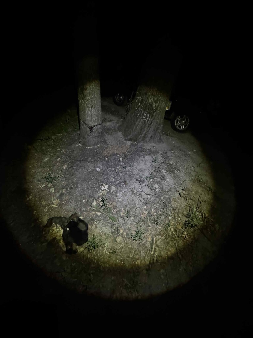 541143563_1106778621556362_7559396929232294663_n