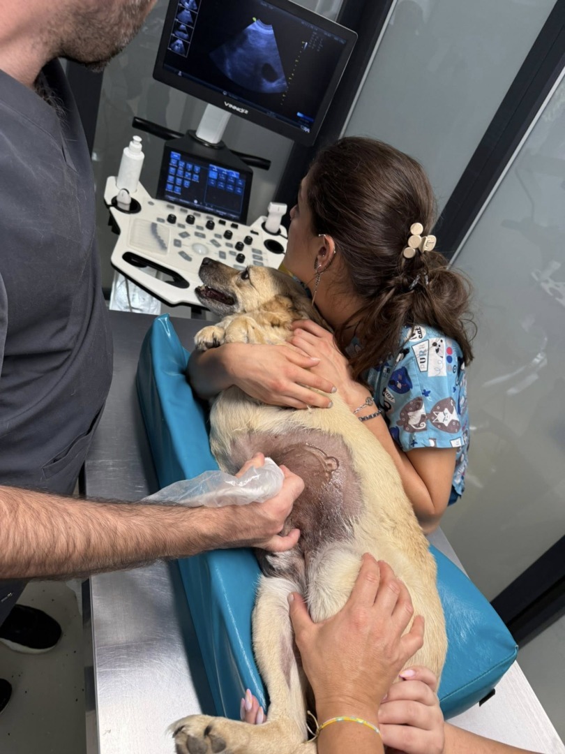 541157261_1187200983432607_2879134971410287964_n