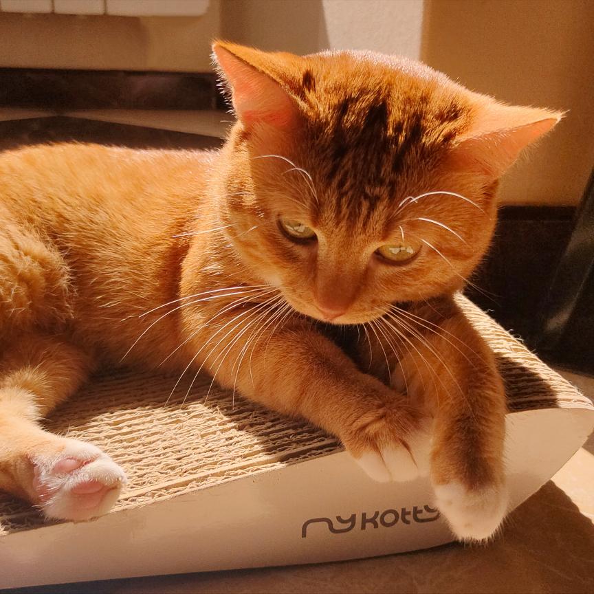 541173885_667965945746227_5262188588594703576_n