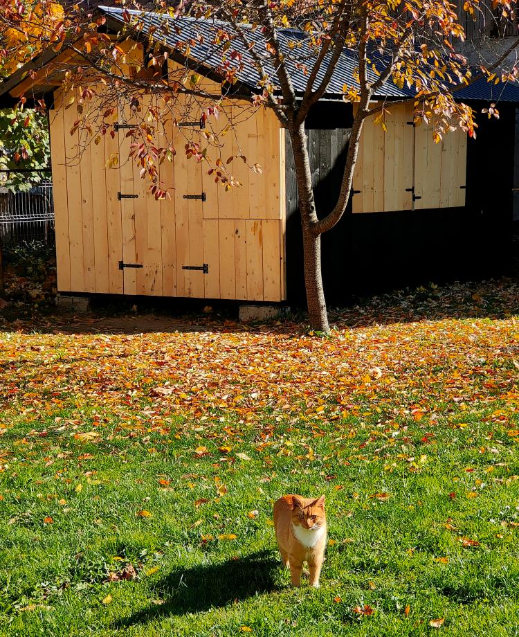 541265669_1325029492397116_1401737448898301133_n