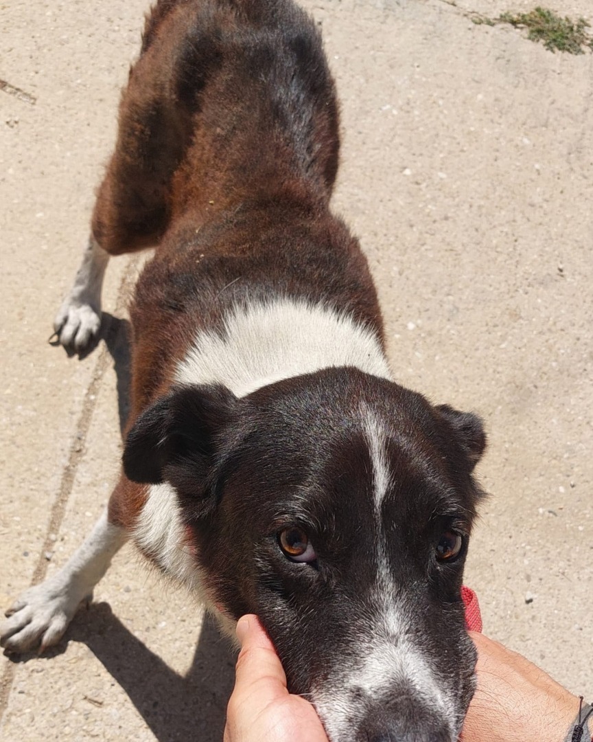 541434830_1118146660470470_533600081824786181_n