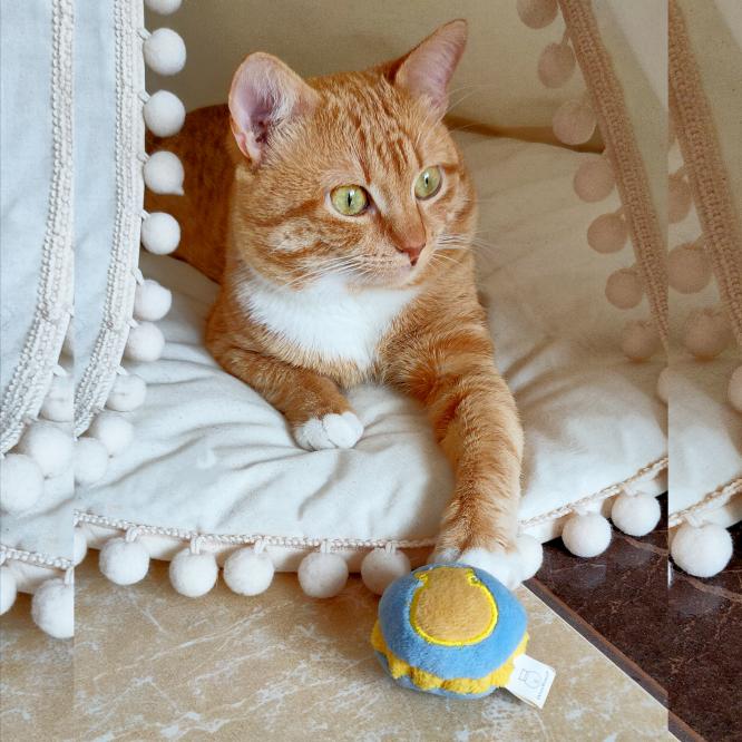 541589325_765882082740995_1222126170469720276_n