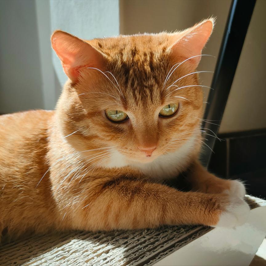 541589800_1115890853975424_9157800358688500083_n