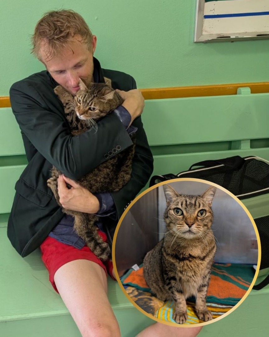 541630575_1317712106378018_1933908992605285448_n