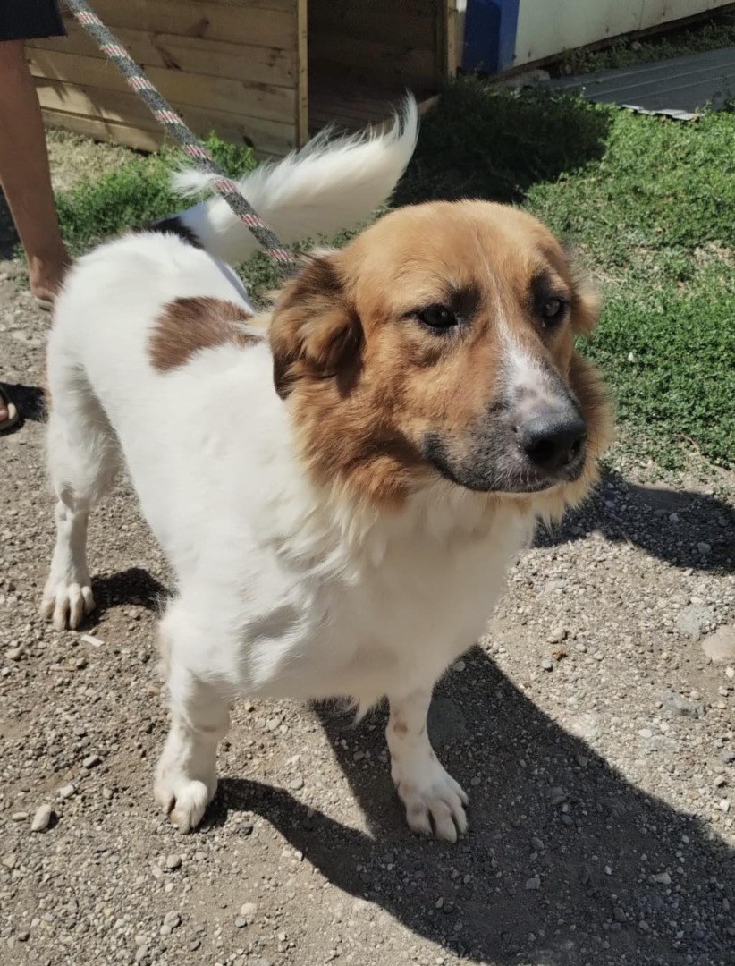 541744030_1119471283671341_6324665447186001352_n