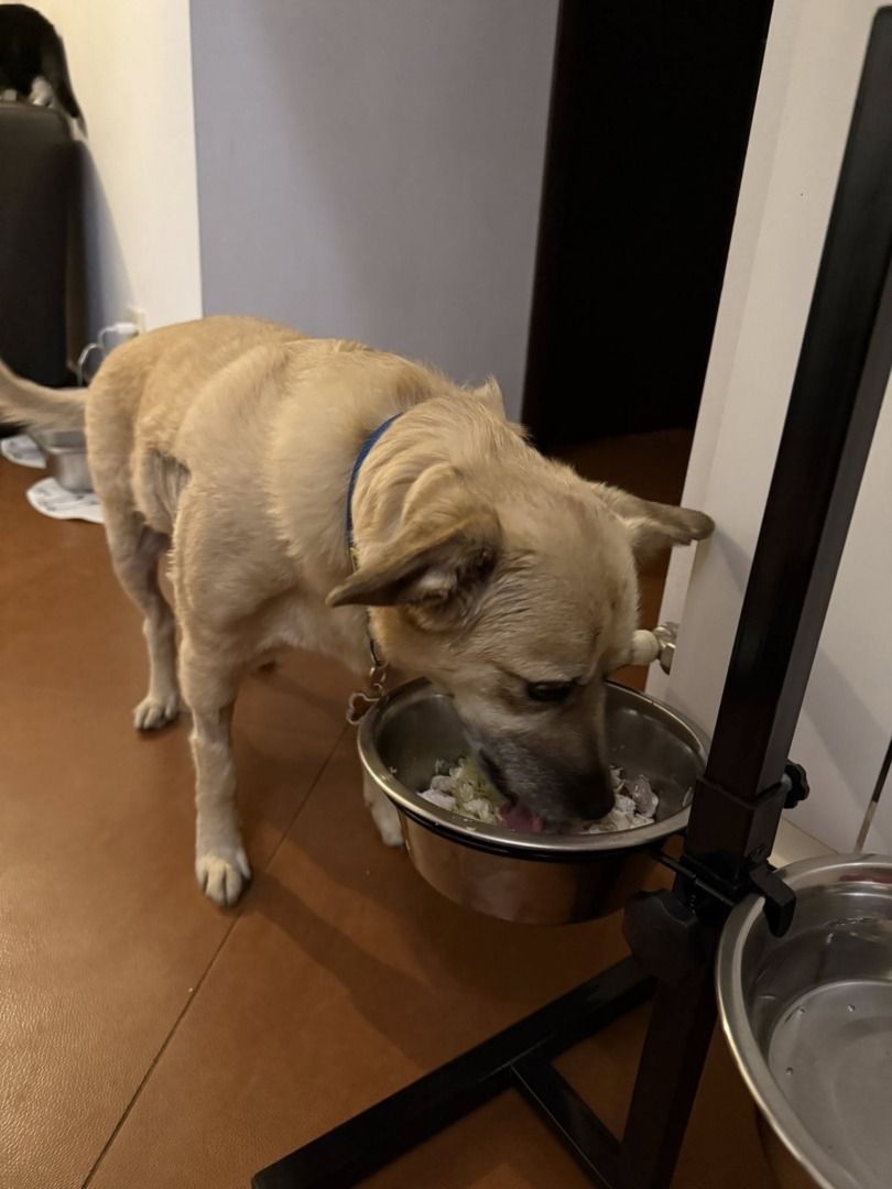 541799008_1187201033432602_5885238385281577276_n