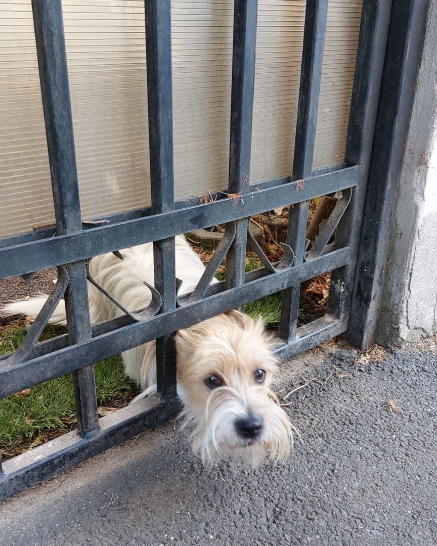 541840811_1121713103447159_7626746643326231217_n