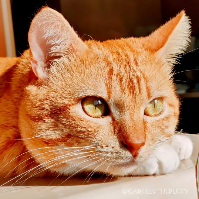 541978471_2065174174239172_8195787523403396300_n