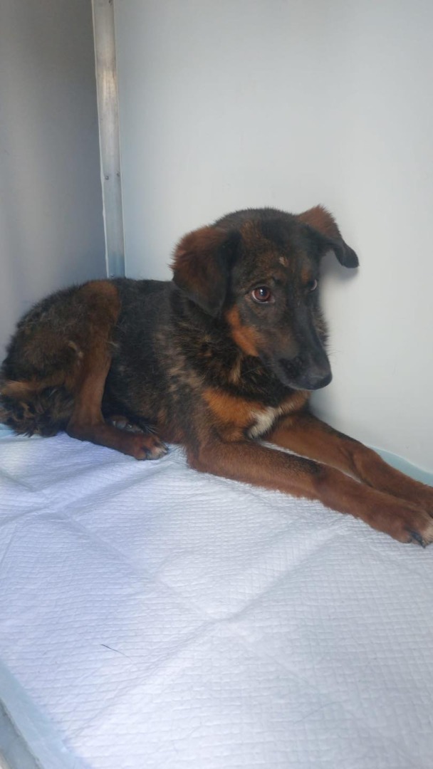 542136363_1119471077004695_5963212294819877904_n