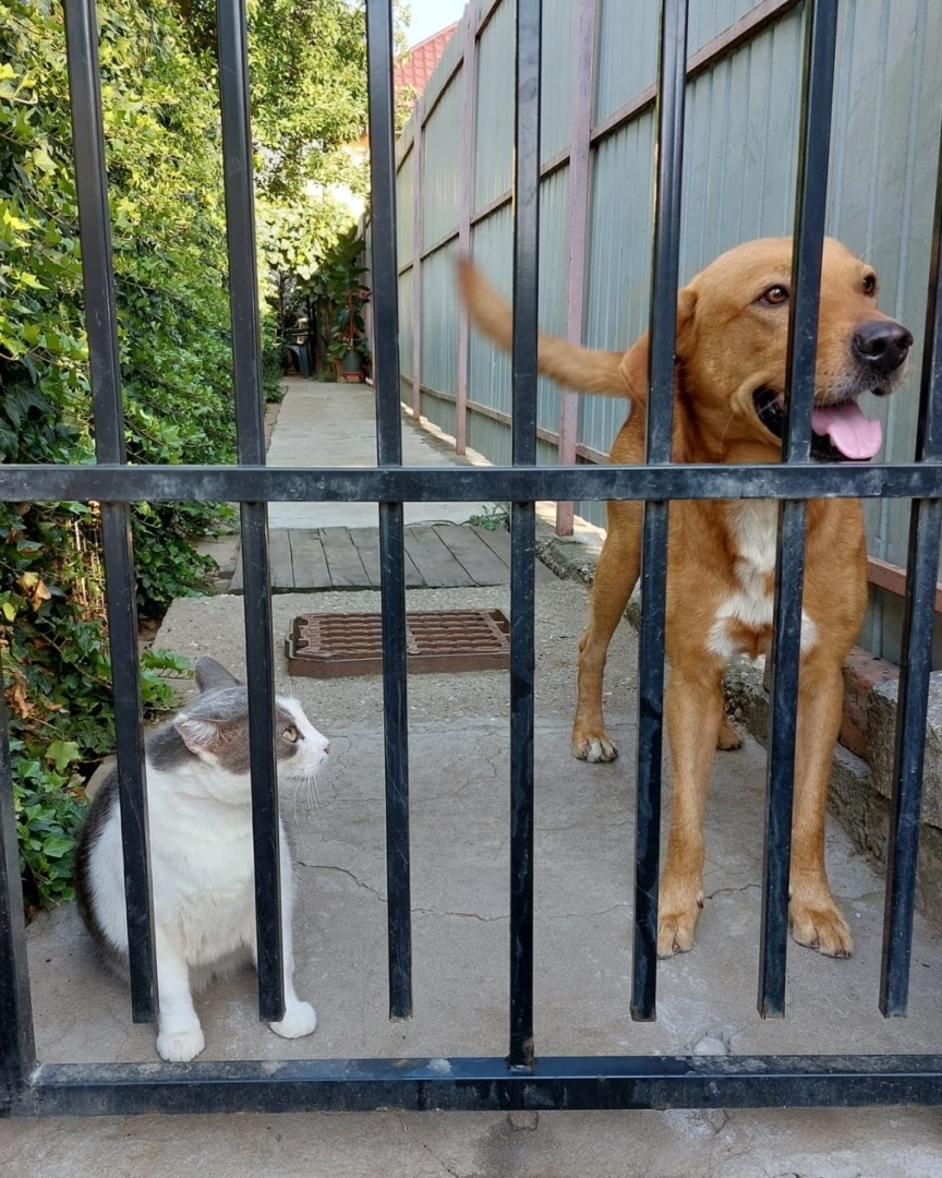 542148235_1121713010113835_6151846642384118788_n