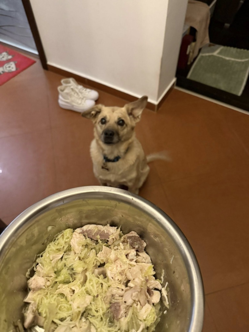 542218548_1187201016765937_5433191810535208351_n