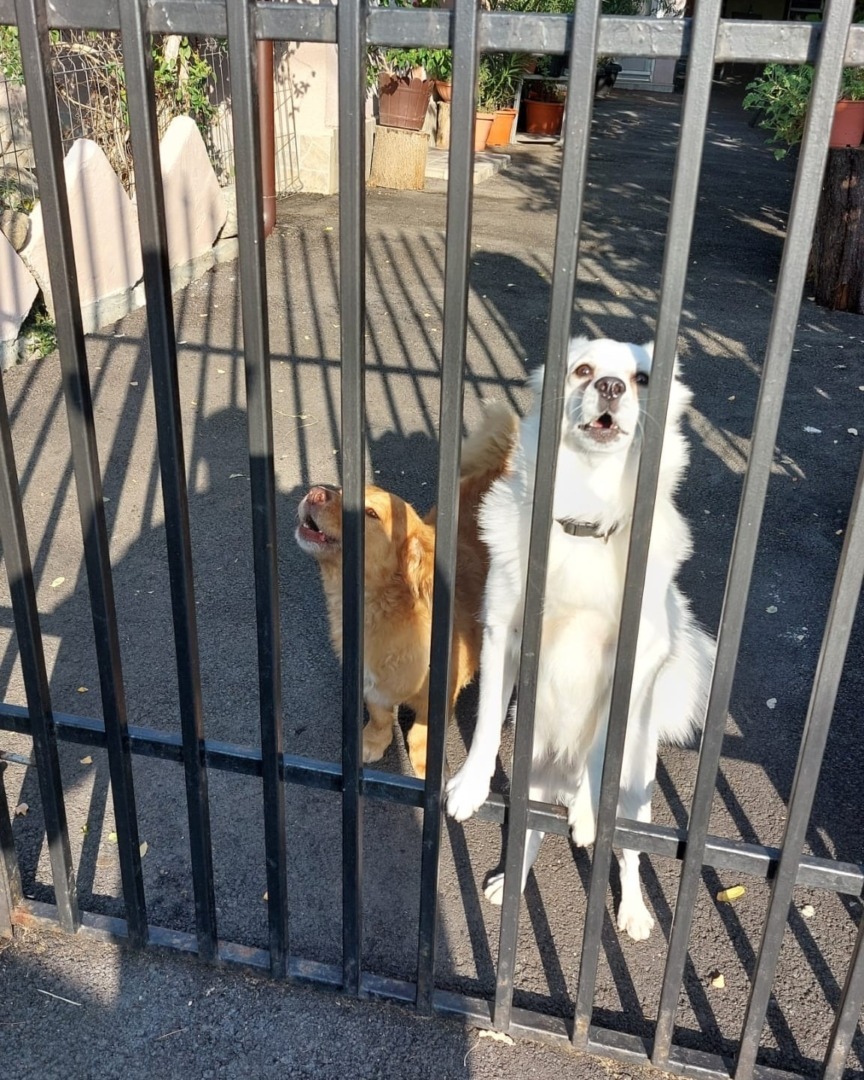 542697034_1121712946780508_1756348360819152076_n