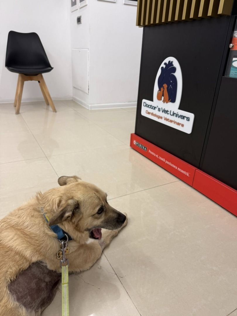 543095529_1187200976765941_6601940670185334593_n