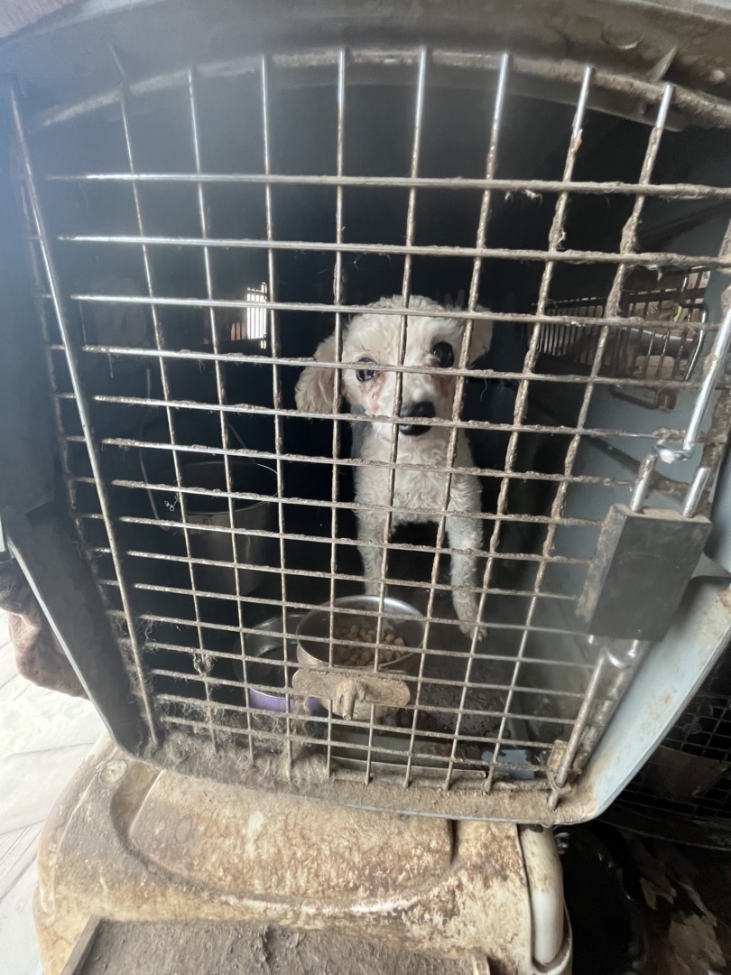 543415849_1112322334408541_1533225152395242157_n