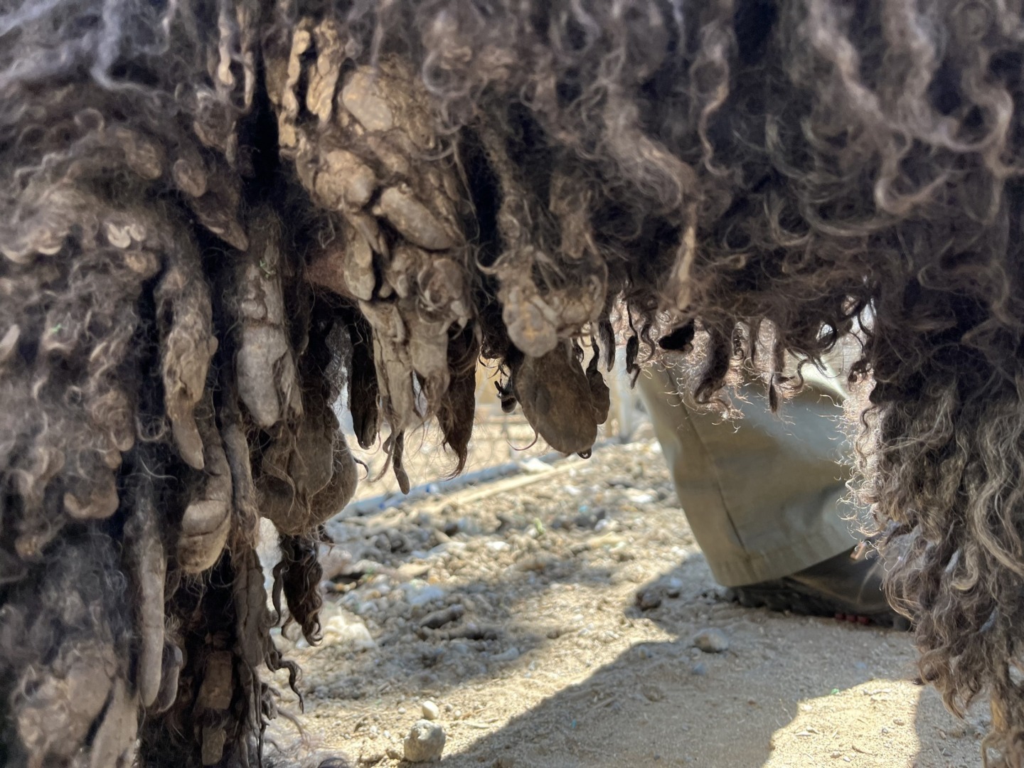 544573381_1112322657741842_7772493623207132866_n