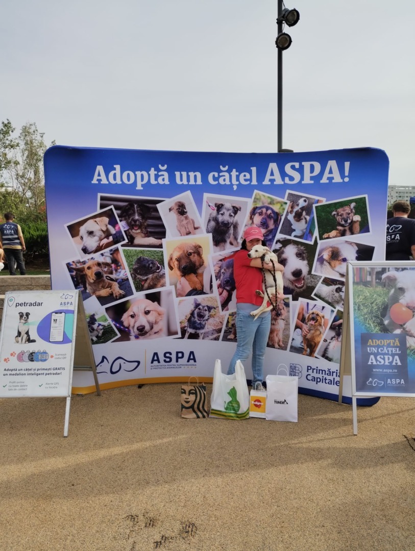 544733383_1124057966546006_8512585663959090942_n