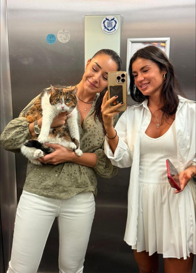 544910572_799777225752238_6962801963609902998_n