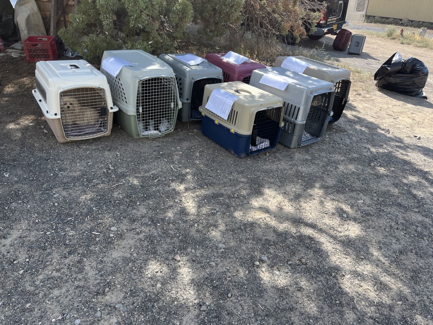 544918828_1112322444408530_1196835286289702045_n