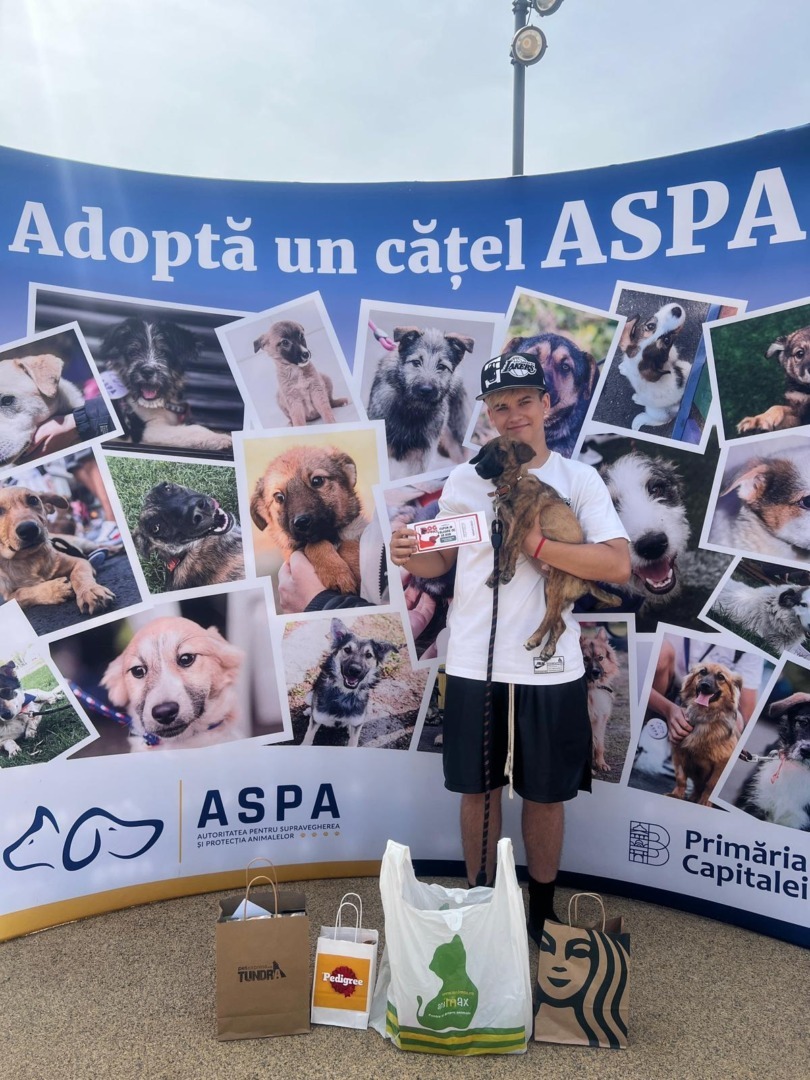 544943402_1124057843212685_6993092269782571846_n