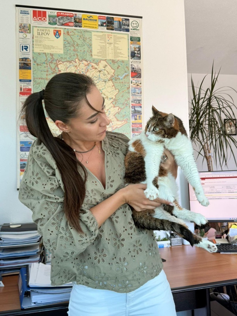 545076114_799778089085485_6820562393851435506_n