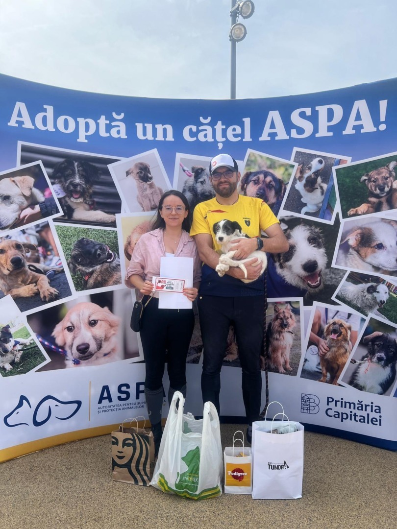 545135965_1124057849879351_6032913018433168966_n