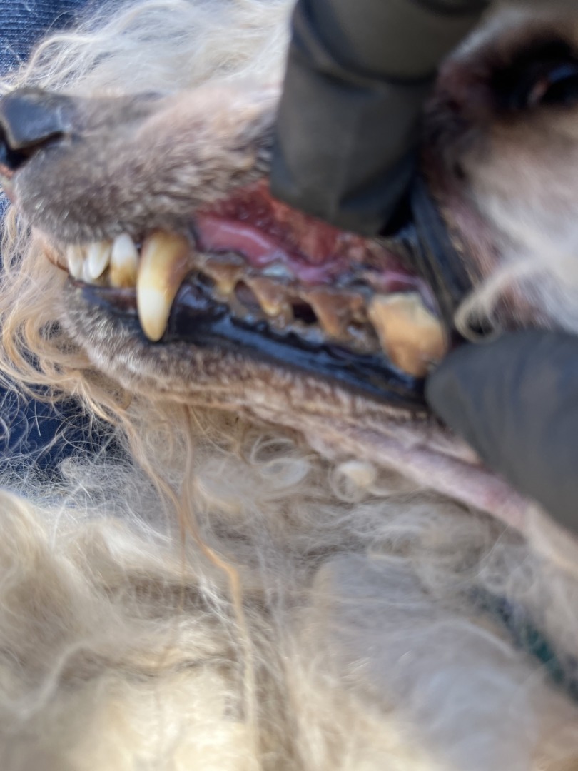 545546344_1112322674408507_1785091895057343658_n