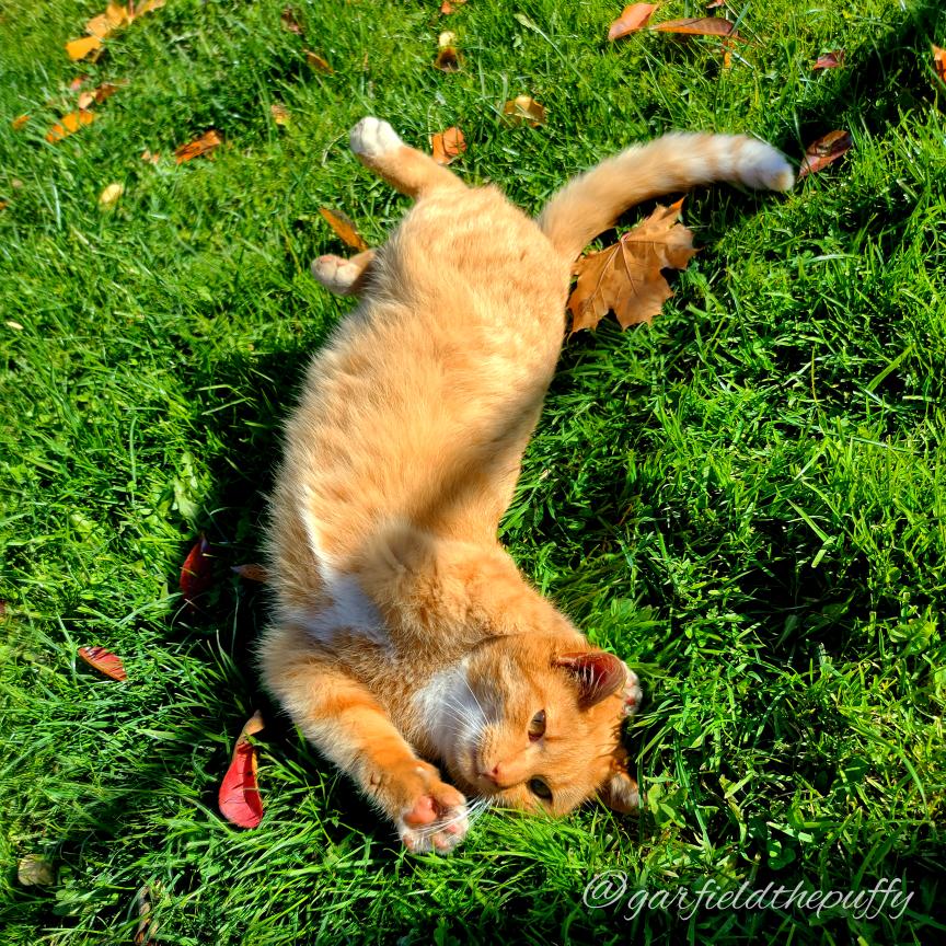 545704438_1252740653267954_2671270008258696266_n