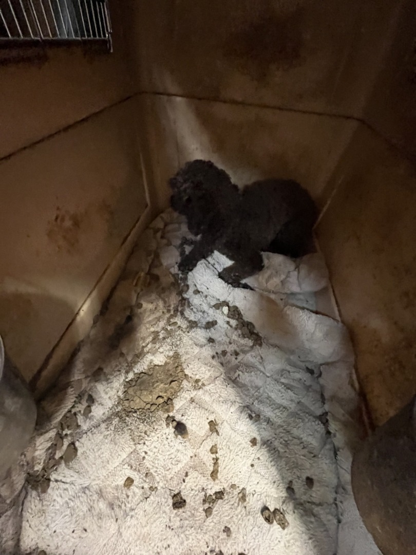 545830451_1112322661075175_2479499924751740751_n