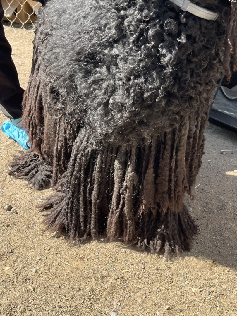 545882061_1112322384408536_7952254099602004163_n