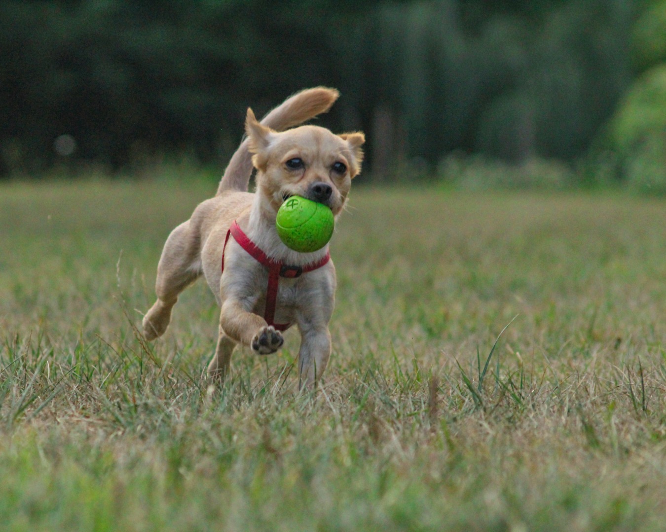 546110852_708061532291712_8433344302070526192_n