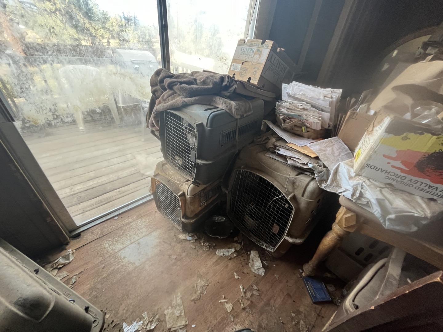 546131876_1112322537741854_5733406741471352410_n