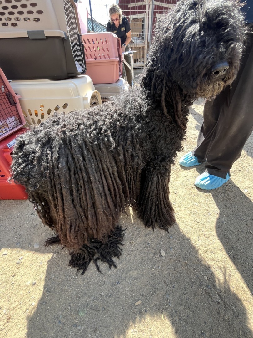 546173463_1112322387741869_6094019937821843698_n