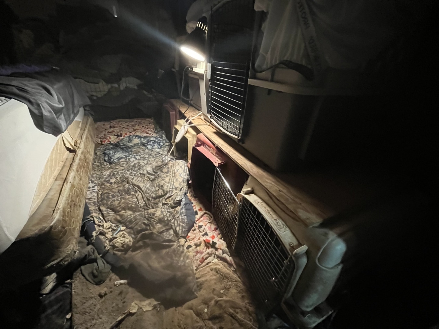 546367629_1112322531075188_8355621860179972931_n