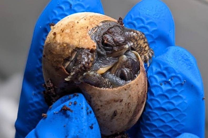 546623650_1199176618908811_3371728246616875204_n