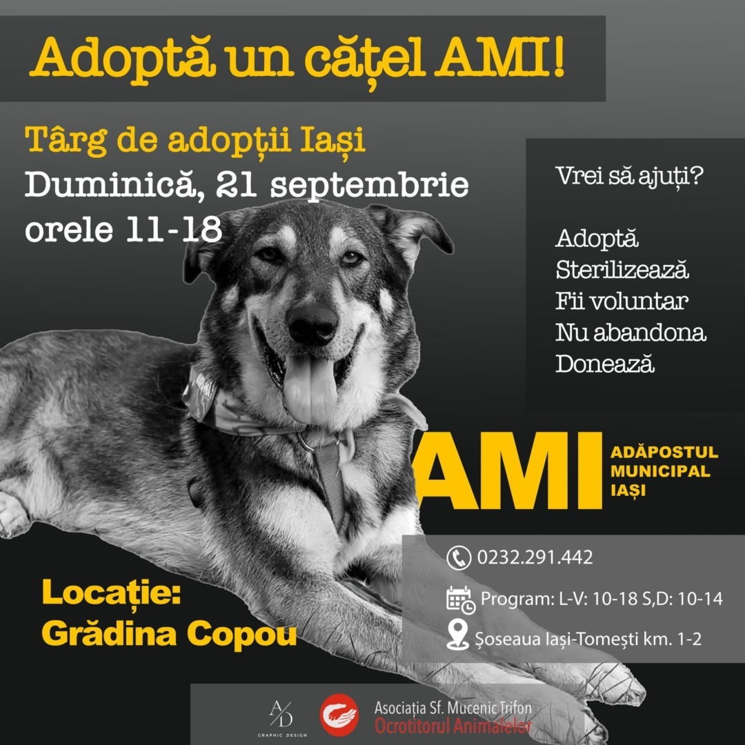 547192426_24714876891458783_5952071459058616232_n