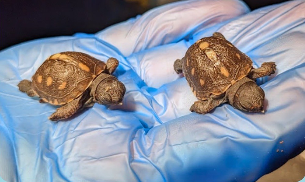 547363277_1199176638908809_8741287909800372659_n