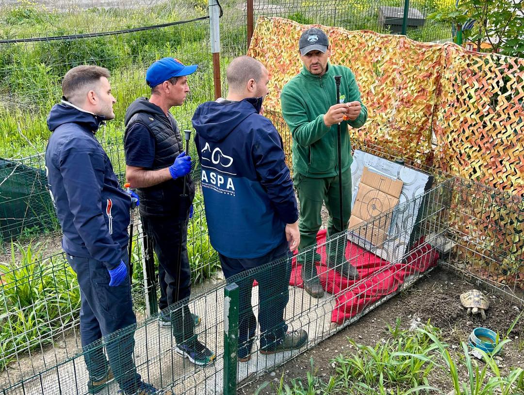 548183387_1131524765799326_6232264368388659992_n