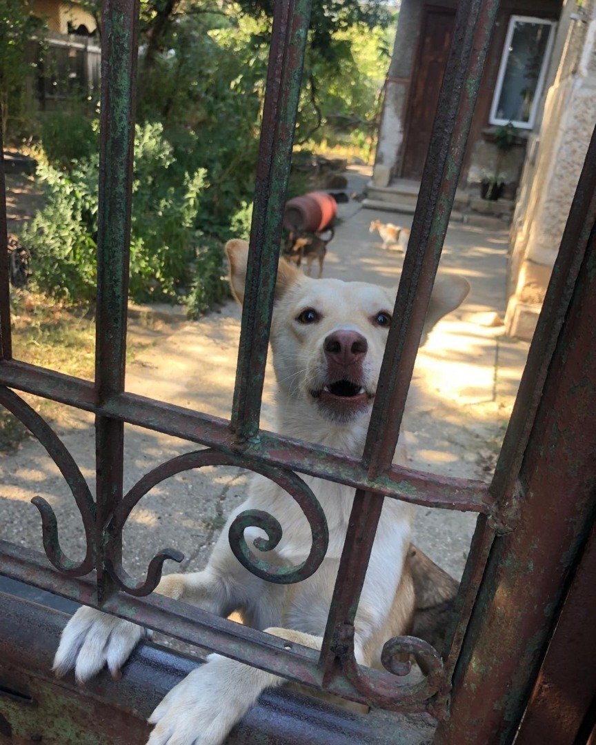 548878581_1133276872290782_872374881310039634_n