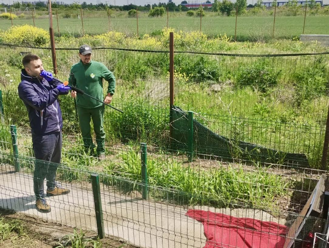 549239317_1131524792465990_1036669910526707391_n