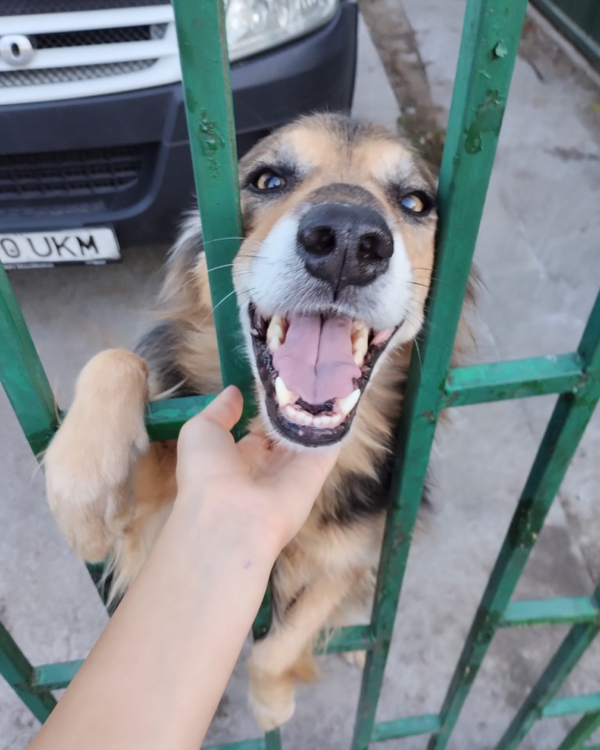 549625360_1133276915624111_3048041179594065731_n