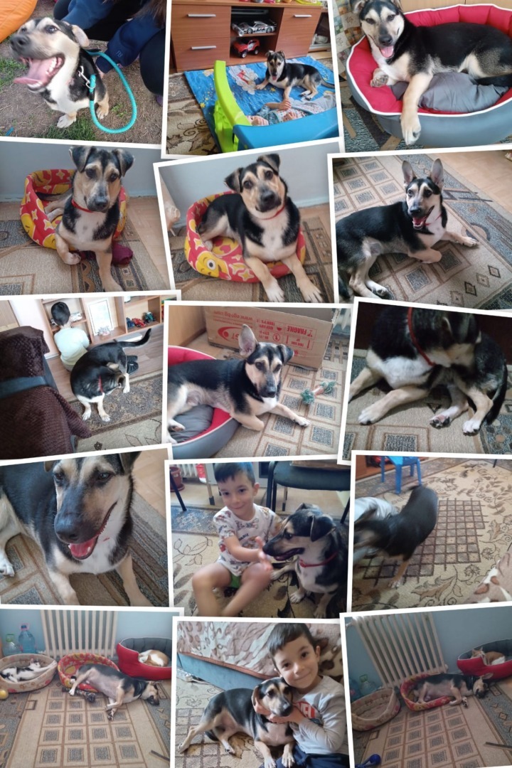 549789661_1134998482118621_7411546833319261545_n