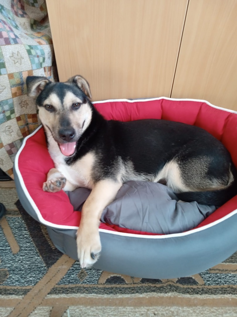 549790039_1134999385451864_8892709737021732238_n