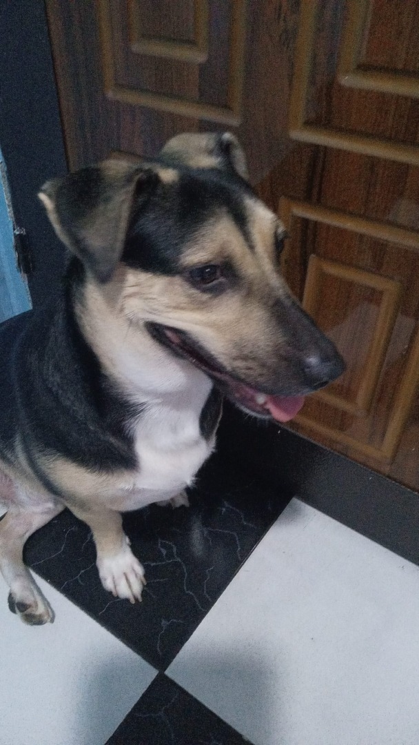 549793890_1134998462118623_3310385812077391483_n