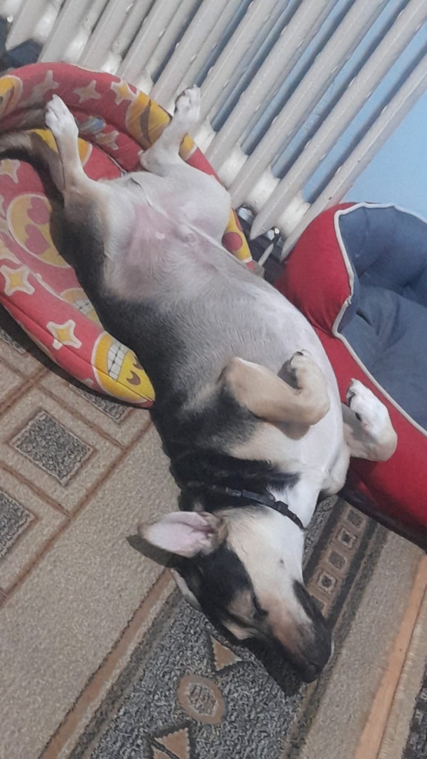 549908202_1134999758785160_6047523537972013971_n