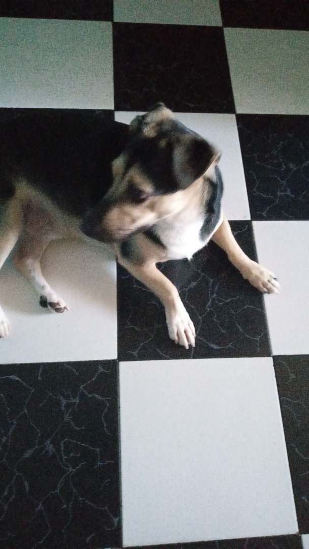 549922399_1134999012118568_8367363553030166150_n